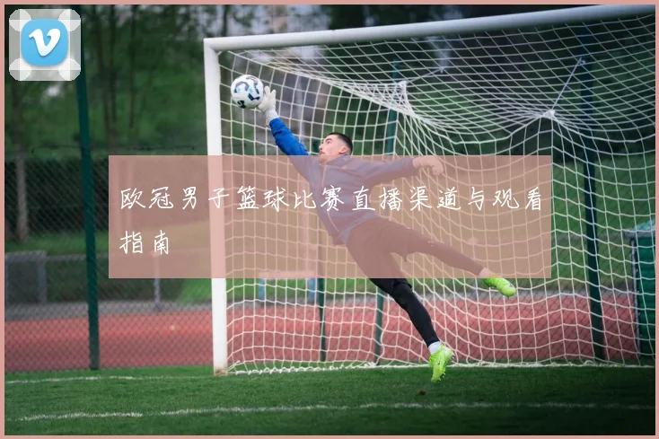 欧冠男子篮球比赛直播渠道与观看指南