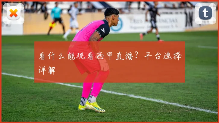 看什么能观看西甲直播？平台选择详解
