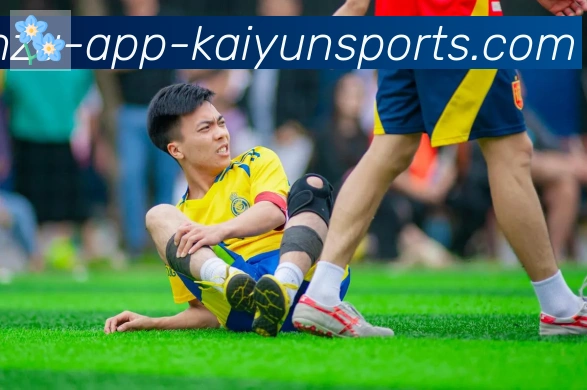 开云体育appAPP 封面图